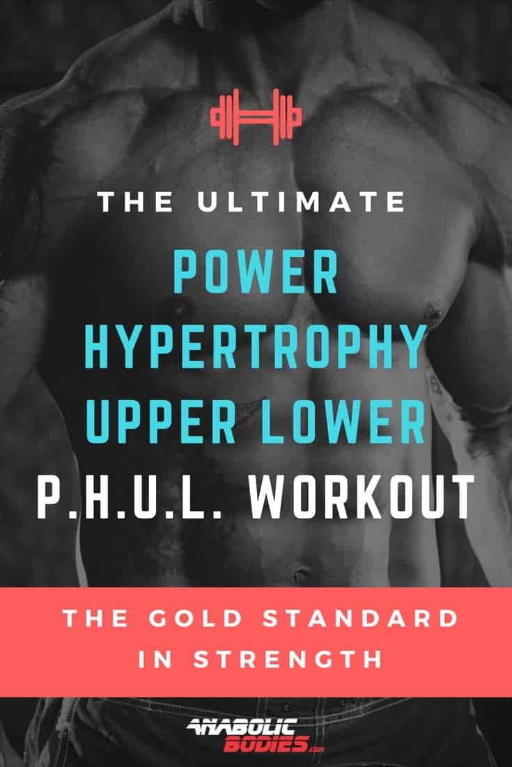The Ultimate Power Hypertrophy Upper Lower P.H.U.L. Workout Program – The Gold Standard In Strength