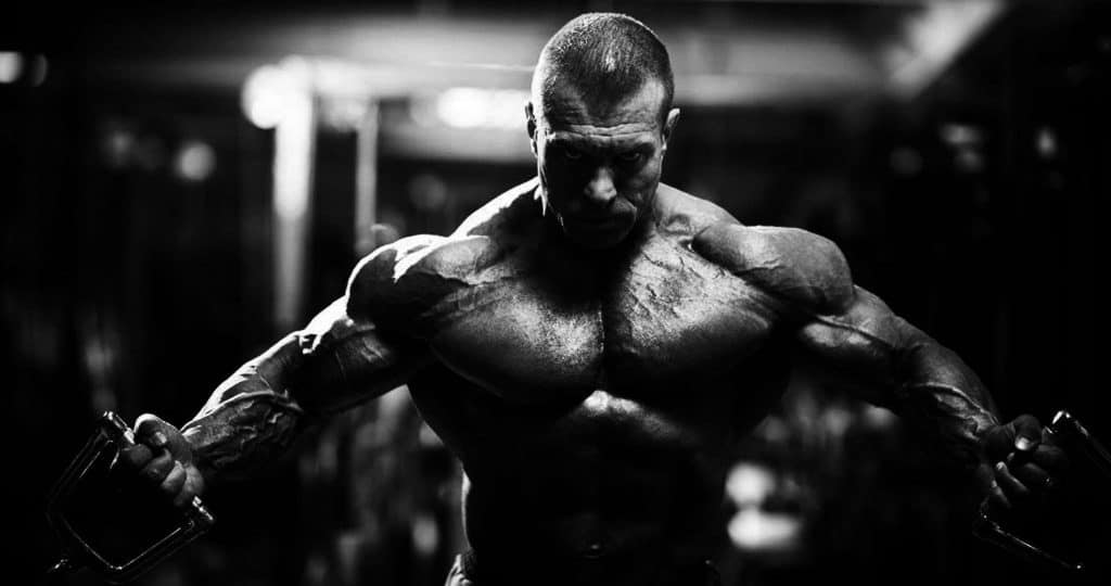Anabolic Bodies - Bodybuilding