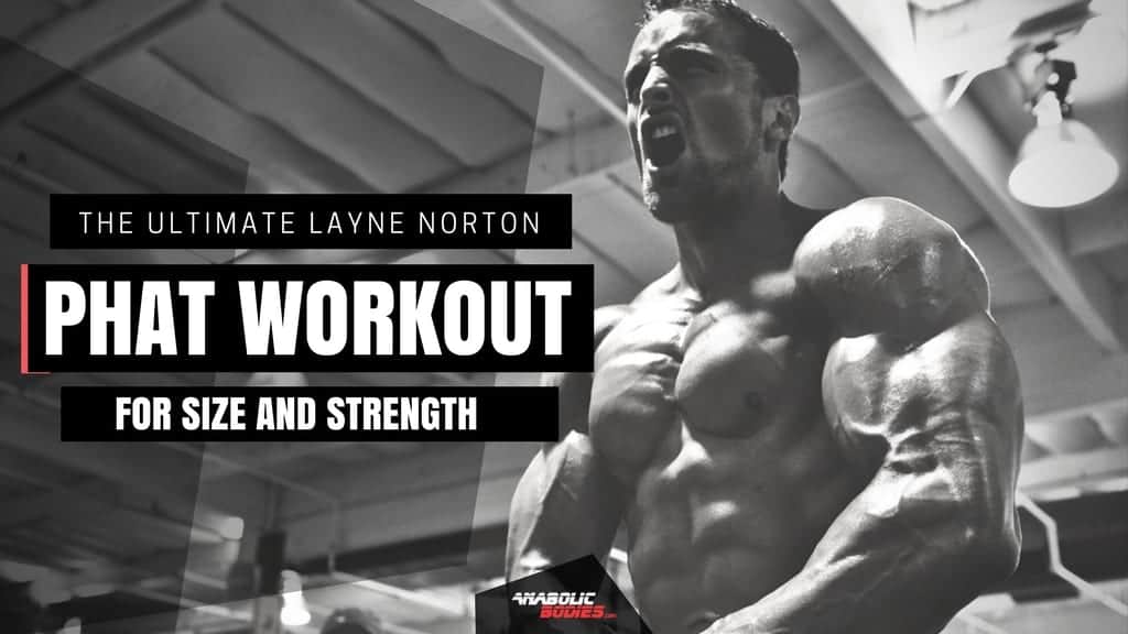 SEARCH AND BUY THIS PRODUCT Anabolic Bodies™ – Training, Bodybuilding & Supplementation