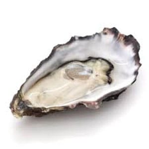Oyster-Extract Oyster Extract