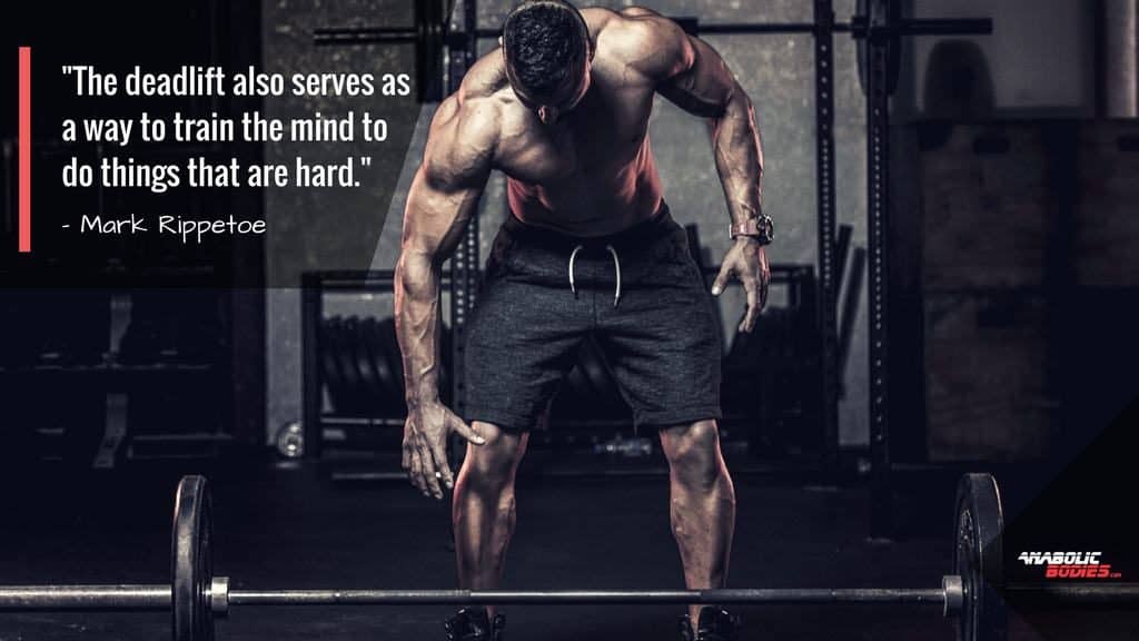 Starting Strength VS. Stronglifts 5x5 Which Program is Better?