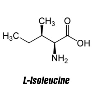 L-Isoleucine L-Isoleucine