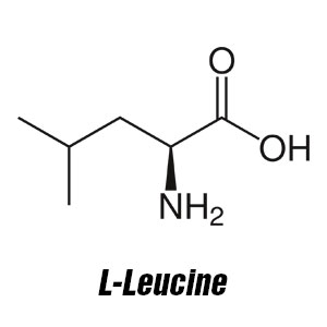 L-Leucine L-Leucine